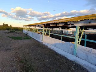 Granja terneros alquiler