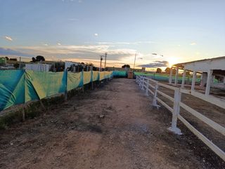 Granja terneros alquiler