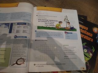 Lengua castellana y Literatura 4º Primaria