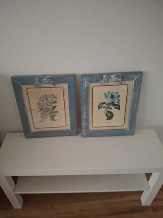 2 Cuadros Flores Vintage