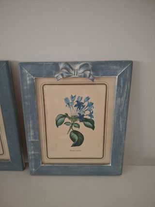 2 Cuadros Flores Vintage