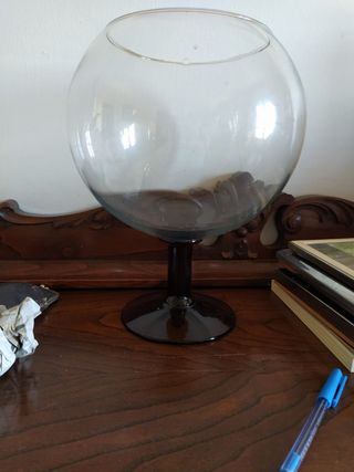 Pecera de cristal - Decorativa