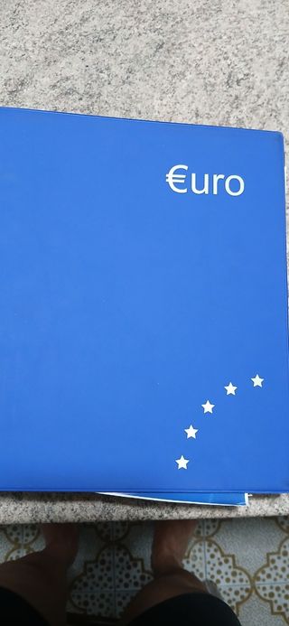 Raccoglitore monete Euro