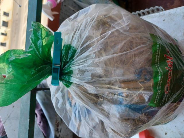 Comederos y heno roedores