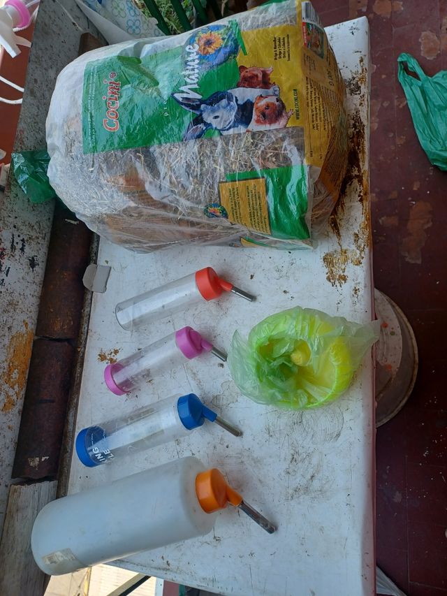 Comederos y heno roedores