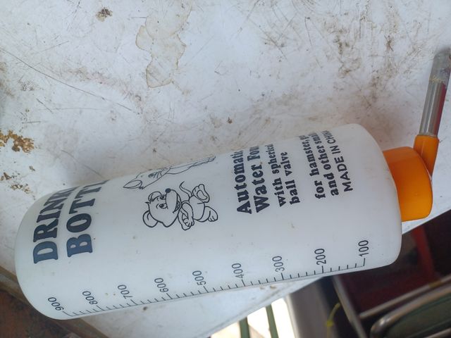 Comederos y heno roedores