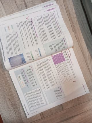 Llengua catalana ESO1
