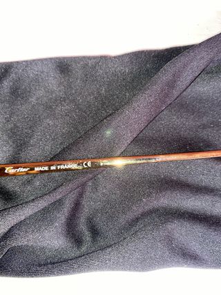 Gafas Cartier Santos de Cartier CT0337S