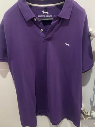 Polos Tommy Hilfiger , pedro del hierro , h & b CH