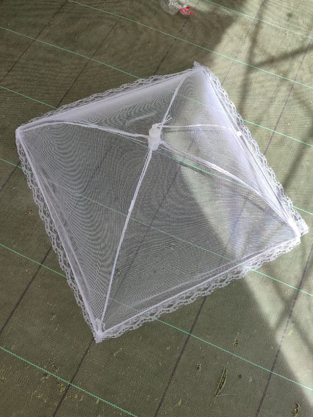 Tapa comida tul Shein