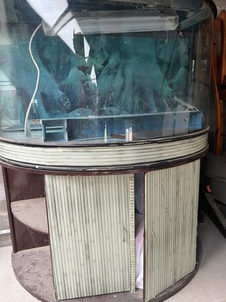 Acuario pecera grande 