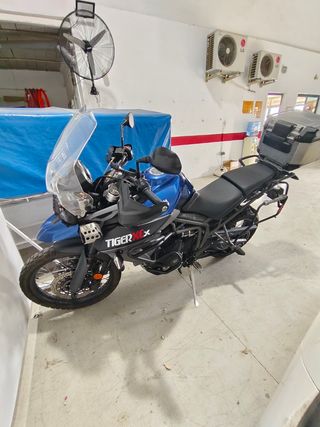 Triumph Tiger XCX 800 - Moto