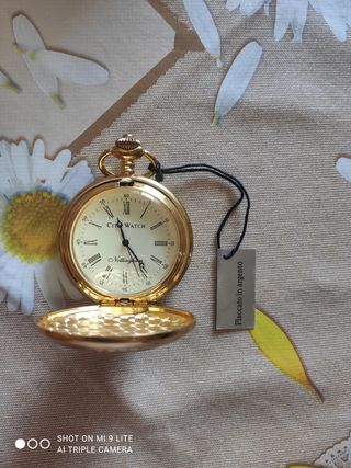 Orologio da Tasca City Watch Placcato Argento