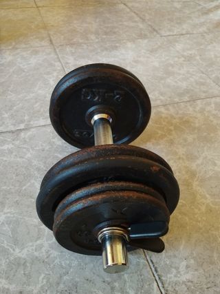 Mancuerna 12 kg con barra