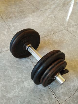 Mancuerna 12 kg con barra