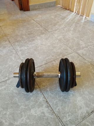 Mancuerna 12 kg con barra