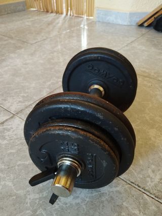 Mancuerna 12 kg con barra