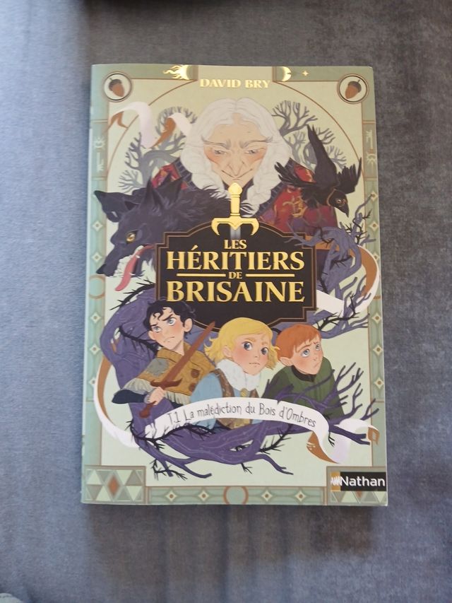 Les Héritiers de Brisaine - Tome 1 La Malédicti...