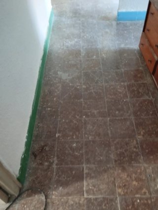 Pulidor Mosaico Antiguo