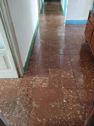 Pulidor Mosaico Antiguo