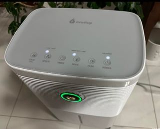 Deumidificatore Casa Muffa 12L/24h Asciugabiancher