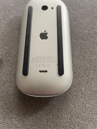Mouse  Apple  Magic  