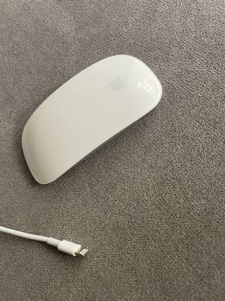 Mouse  Apple  Magic  