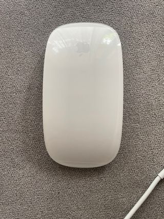Mouse  Apple  Magic  