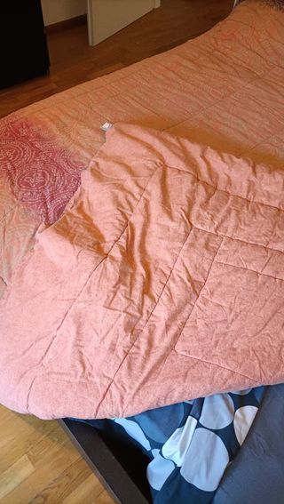 Piumone matrimoniale Zucchi - beige, rosa