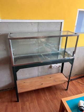 Acuario/terrario