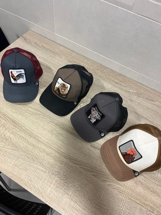 Gorras Goorin Bros. Gorras de animales