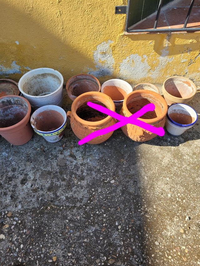 Macetas de cerámica y terracota