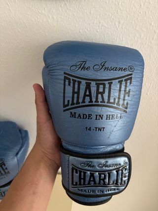 Guantes Boxeo Charlie Gel 14oz