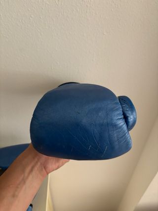 Guantes Boxeo Charlie Gel 14oz