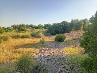 Terreno en venta en Mora