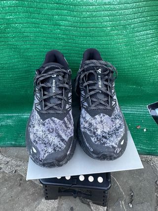 Zapatillas Salomon Aero Glide 2