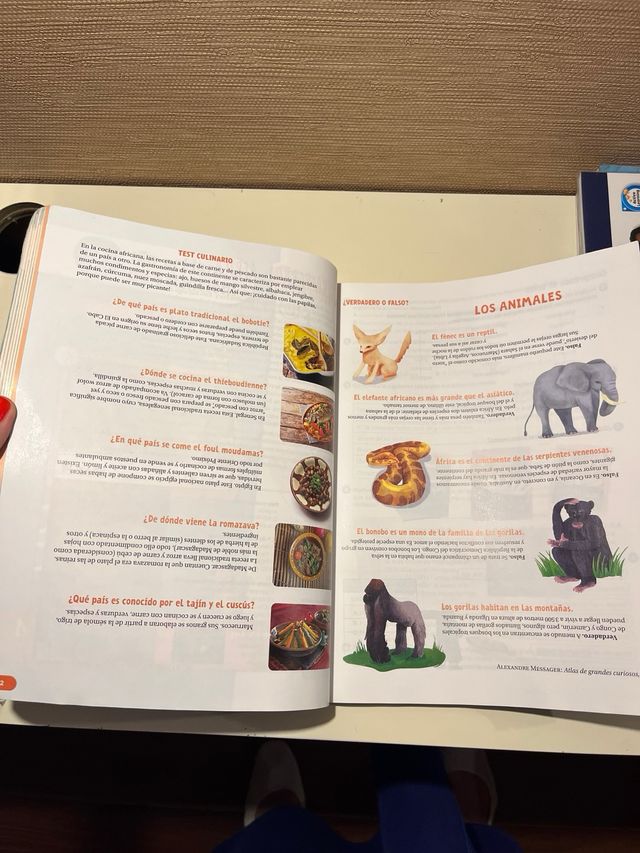 Lengua Castellana y Literatura. 5 Primaria. Rev...