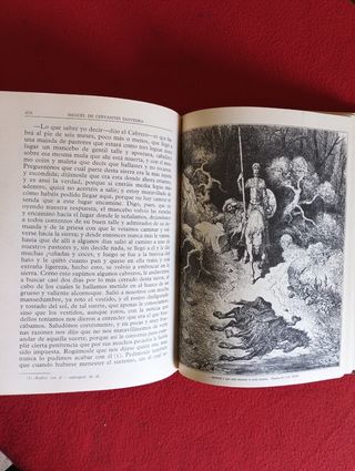 Libros Don Quijote.Gustavo Doré