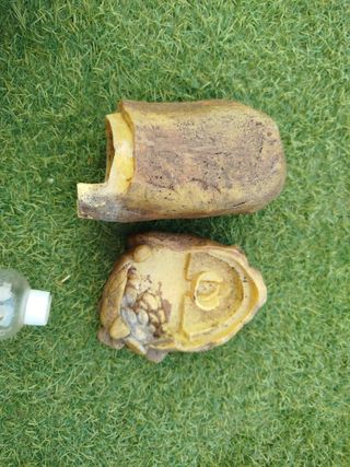 Bebedero exoterra: reptil