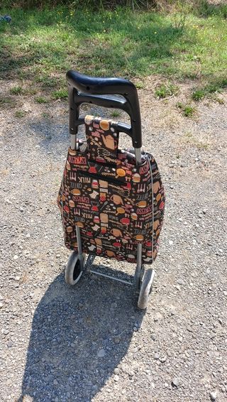 Carrello spesa 
