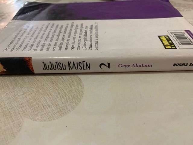 Jujutsu Kaisen 02
