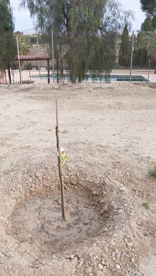 Casa campo El Romeral - Jardín