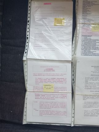 Apuntes Magisterio Educación Primaria