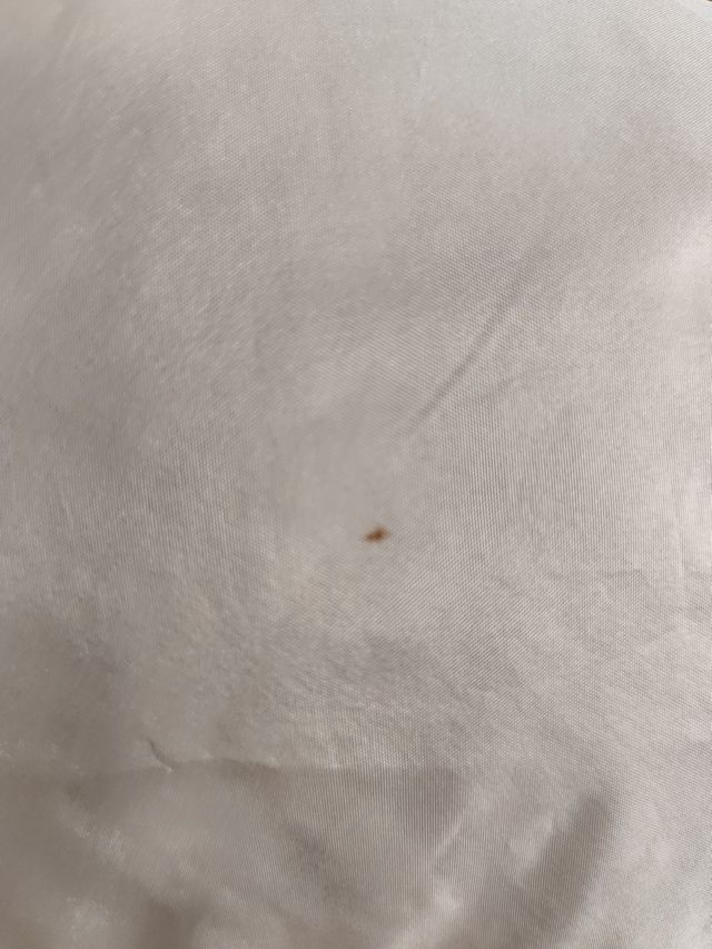 Blusa seda beige - Talla M