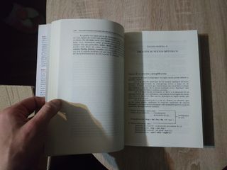 Grandes poemas ingleses de los siglos XIII y XIV