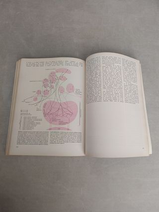 COMPORTAMIENTO ANIMAL. EISNER. EDWARD O. WILSON