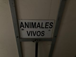 Remolque caballos Alce - 1/2 caballos