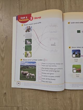 Hopscotch 2: Activity Book with Audio CD