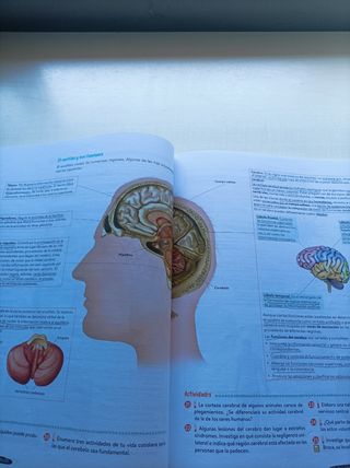 Biología y Geología 3º ESO