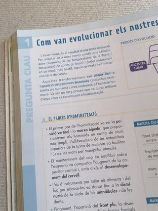 GiH 1 (Geografia i Historia ESO) Aula 3d